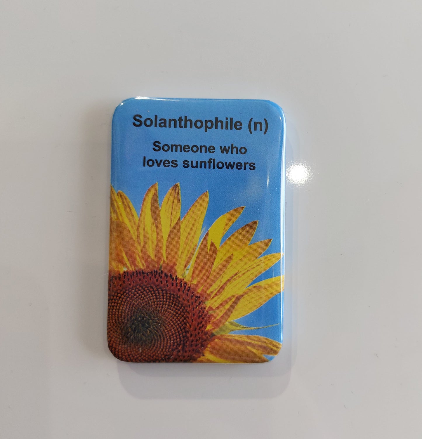 Sunflowers Fridge Magnet