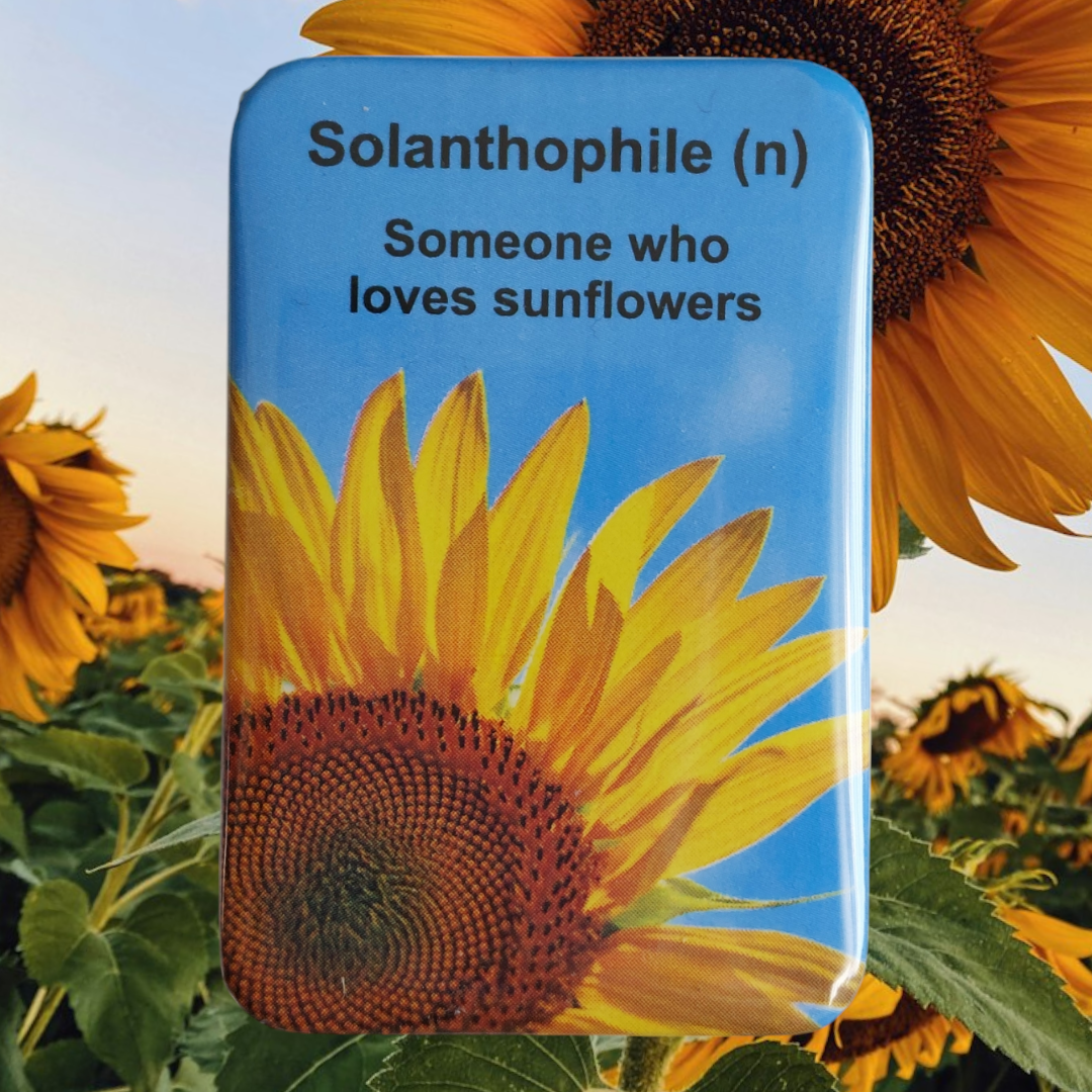 Sunflowers Fridge Magnet