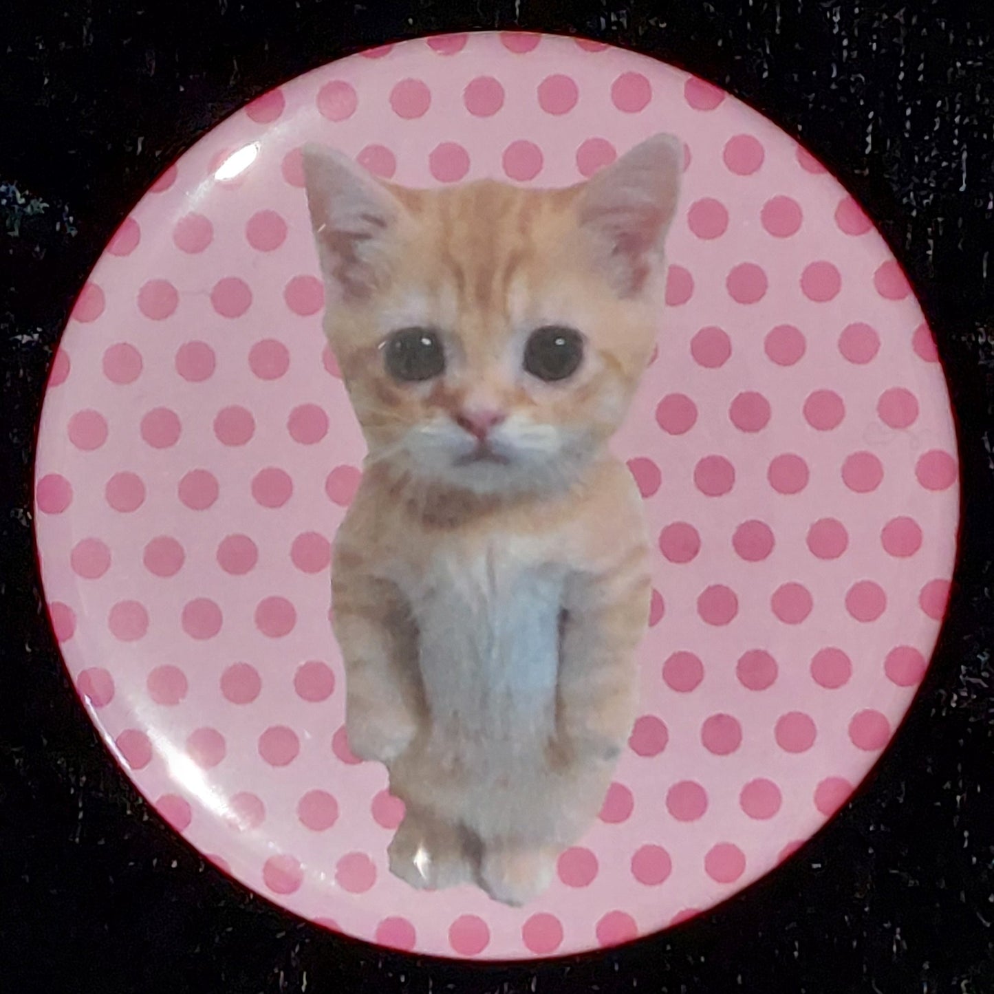 El Gato Standing Cat Badge
